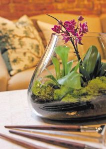 Mini Orchid